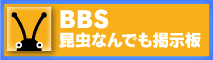 昆虫なんでも掲示板
